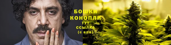 ALPHA PVP Богданович