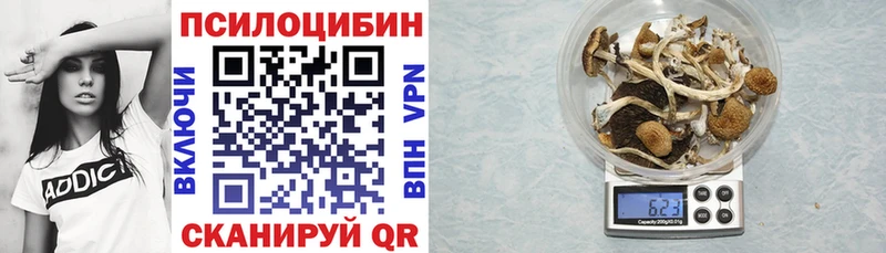 Псилоцибиновые грибы MAGIC MUSHROOMS закладки Кинешма