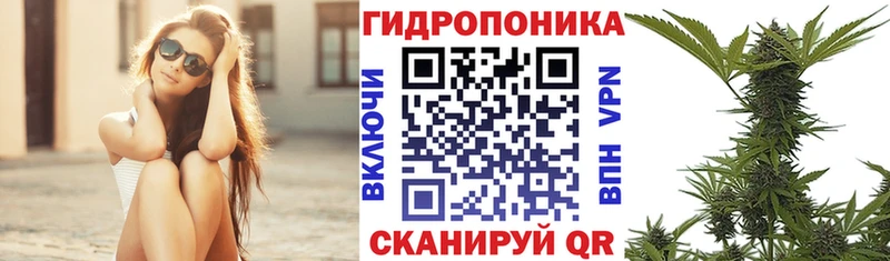Шишки марихуана Ganja  Кинешма 